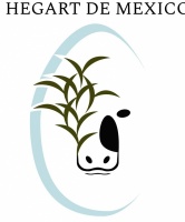Hegart de México, S.A. de C.V.